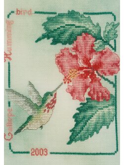 Crossed Wing Collection ผังลาย Calliope Hummingbird