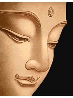 Pinn โปรดสรรพสัตว์