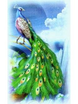 Heaven and Earth ผังลาย QS PEACOCK