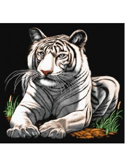 Pinn เสือขาว I