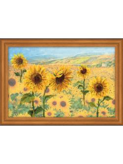 Riolis Field of Sunflowers