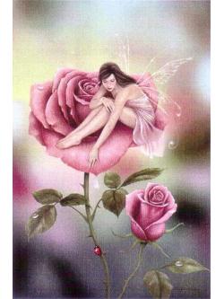 Heaven and Earth ผังลาย Rose