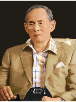 Pinn ในหลวง ร.๙