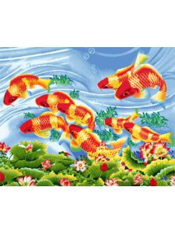 Pinn ปลานำโชค