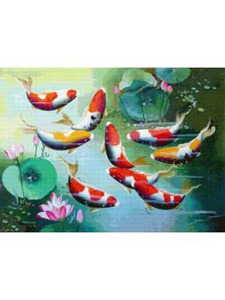 Pinn ปลานำโชค