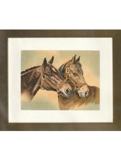 Lanarte ชุดปัก Friends