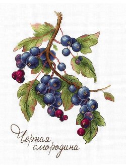 MP Studia ชุดปัก Gifts of Nature, Black Currant