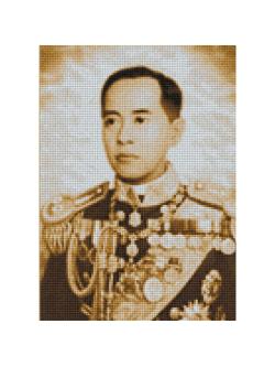 Pinn กรมหลวงชุมพรฯ (กลาง)