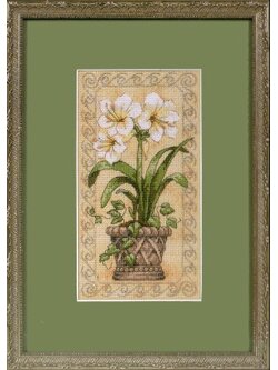 Dimensions ชุดปัก Amaryllis in Bloom