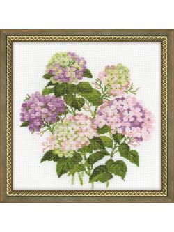 Riolis Garden Hydrangea