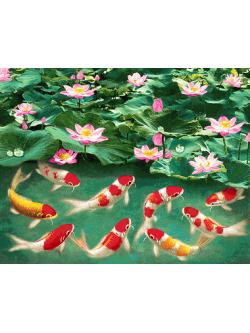 Pinn ปลานำโชค