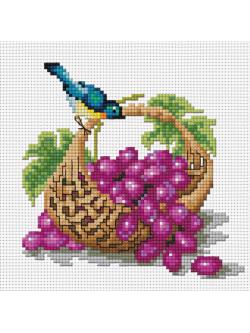 Pinn ตะกร้าองุ่น