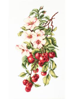 Luca-S Composition with cherry