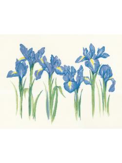 Heritage Crafts ชุดปัก Irises