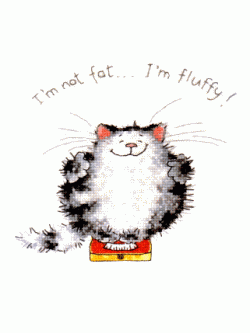 Heritage Crafts ชุดปัก I'am not fat...