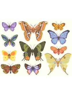 Nattee ชุดปัก Butterflies