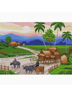 Pinn กลับบ้านเฮา