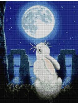 Pinn กระต่ายหมายจันทร์