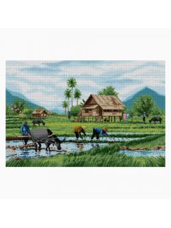 Pinn วิถีชีวิต ชนบทไทย