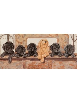 Pegasus ผังลาย Six pack