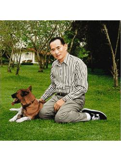 Pinn ในหลวง ร.๙-คุณทองแดง