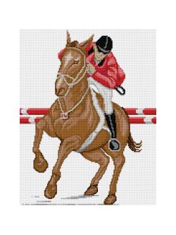 Pinn ขี่ม้าแข่ง