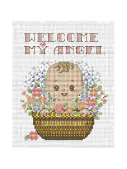 Pinn เบบี้