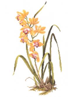 Eva Rosenstand ชุดปัก Yellow orchid