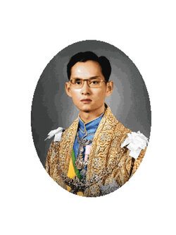 Pinn ในหลวง ร.๙