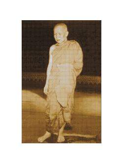 Pinn หลวงตามหาบัว (เต็มตัว)