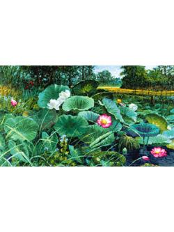 Pinn บึงบัว