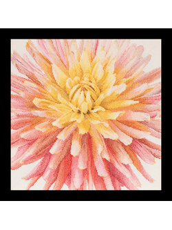 Thea Gouverneur ชุดปัก Dahlia