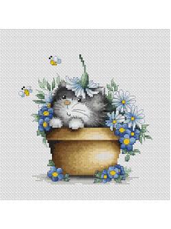 Luca-S Kitten in flowers