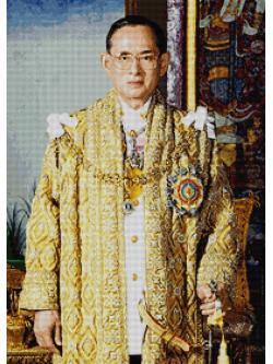 Pinn ในหลวง ร.๙