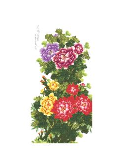 Pinn ลาย DMC ดอกโบตั๋น