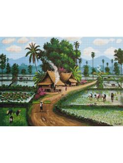 Pinn ชนบทไทย II