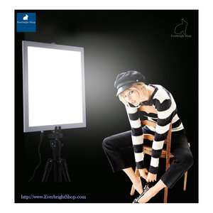 SP-38 Shadowless Panel