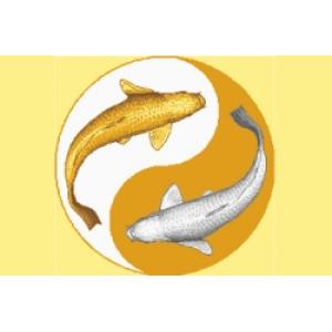 Religions : ศาสนา