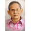 Pinn ในหลวง ร.๙