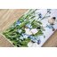 Letistitch ชุดปัก Butterflies and Bluebird Flowers