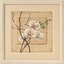 Dimensions ชุดปัก Oriental Orchids (ผ้าพิมพ์พื้นหลัง)