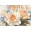 Alisa ชุดปัก White Roses