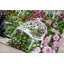 Luca-S ชุดปัก The Cottage Garden