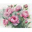 Luca-S ชุดปักครอสติช The Charm of Peonies