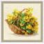 Riolis Yellow Rapeseed