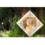 Merejka ชุดปัก Blond by Mucha