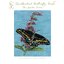 Pegasus ผังลาย Swallowtail Butterfly Bush
