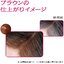 พร้อมส่ง ครีมนวดปิดผมหงอก Shiseido Prior Color Conditioner Brown 230g
