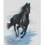 Luca-S Black Horse
