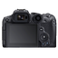 CANON EOS R7 BODY